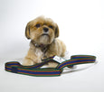 The Gabon Dog Leash - FH Wadsworth