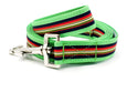 Pistachio Dog Leash - FH Wadsworth