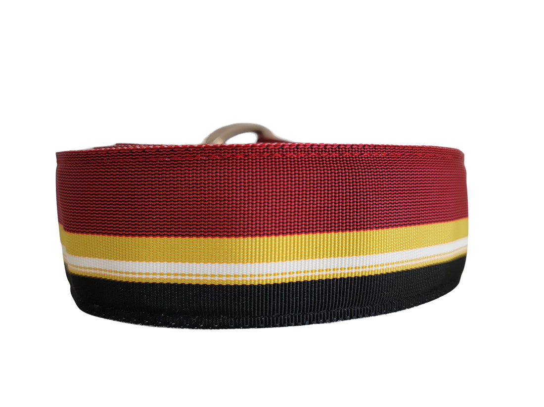 Varsity Striped Ribbon Belt
