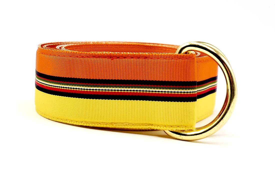 Yellow &amp; Orange Striped Sunset Ribbon Belt - FH Wadsworth
